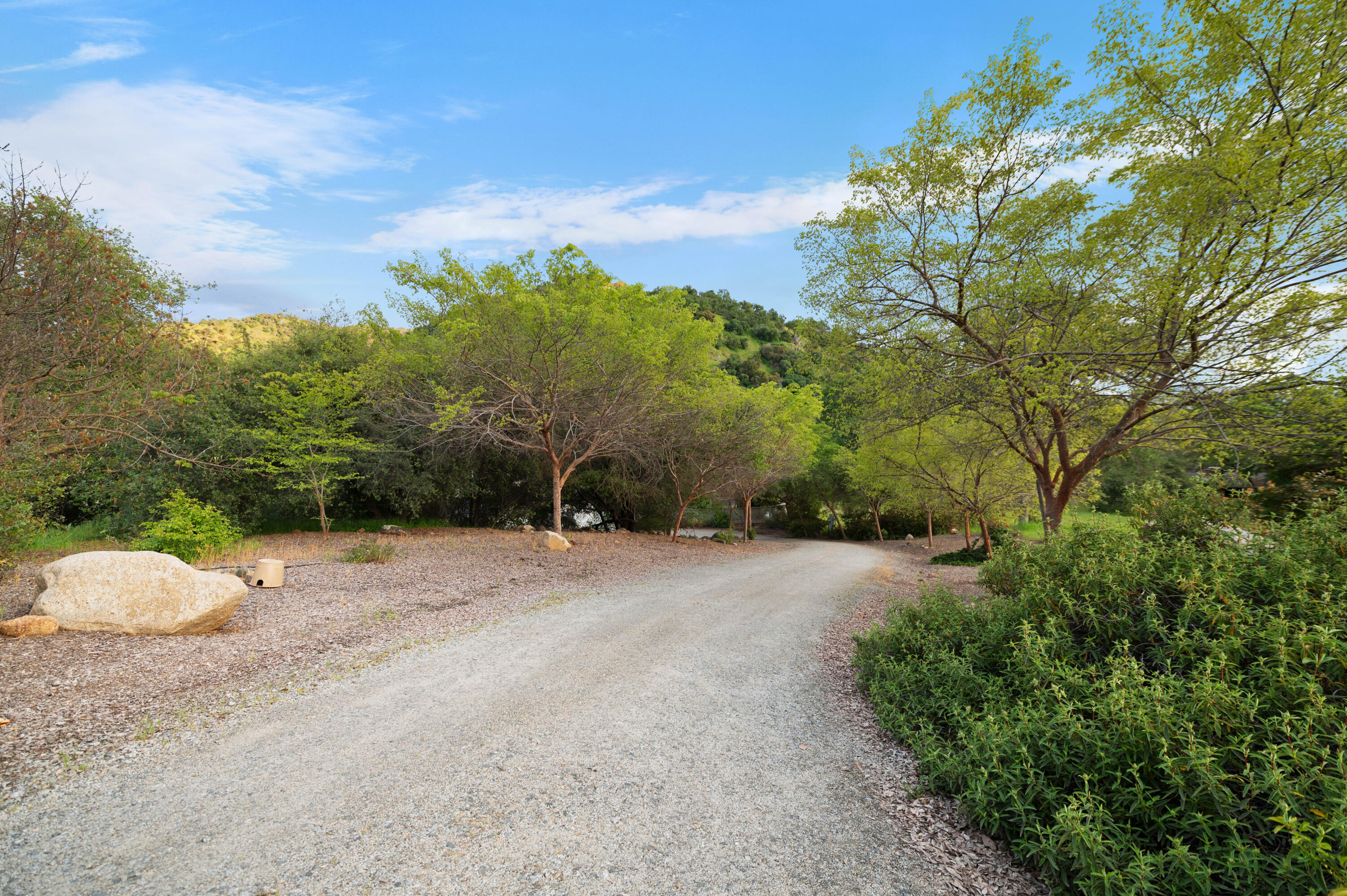 42440 Kaweah River Drive Three Rivers, CA 93271 - Photo 5 of 135 Z62_4001
