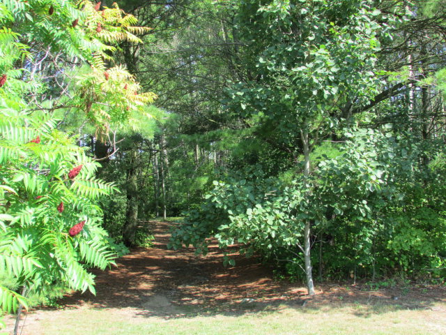 Tbd Ruckert Lane, Unit 1015 Ellison Bay, WI 54210 - Photo 15 of 18