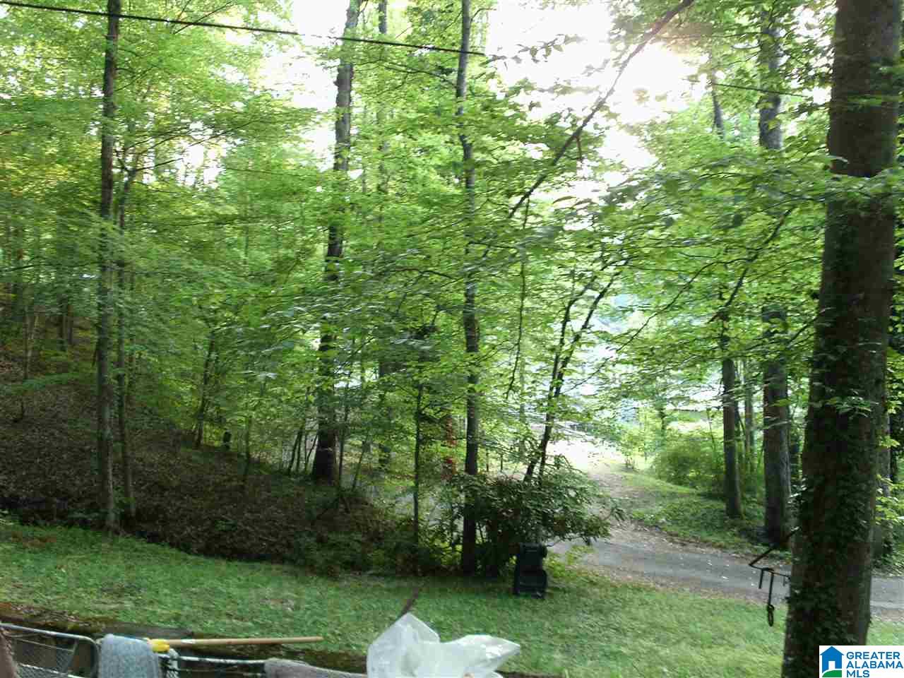 720 Bluff Creek Club Road Quinton, AL 35130 - Photo 29 of 29