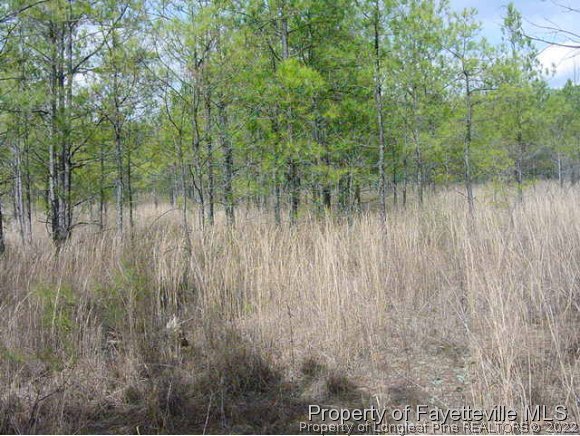 Joe Collins Road Lillington, NC 27546 - Photo 1 of 4 Gallery Image 1