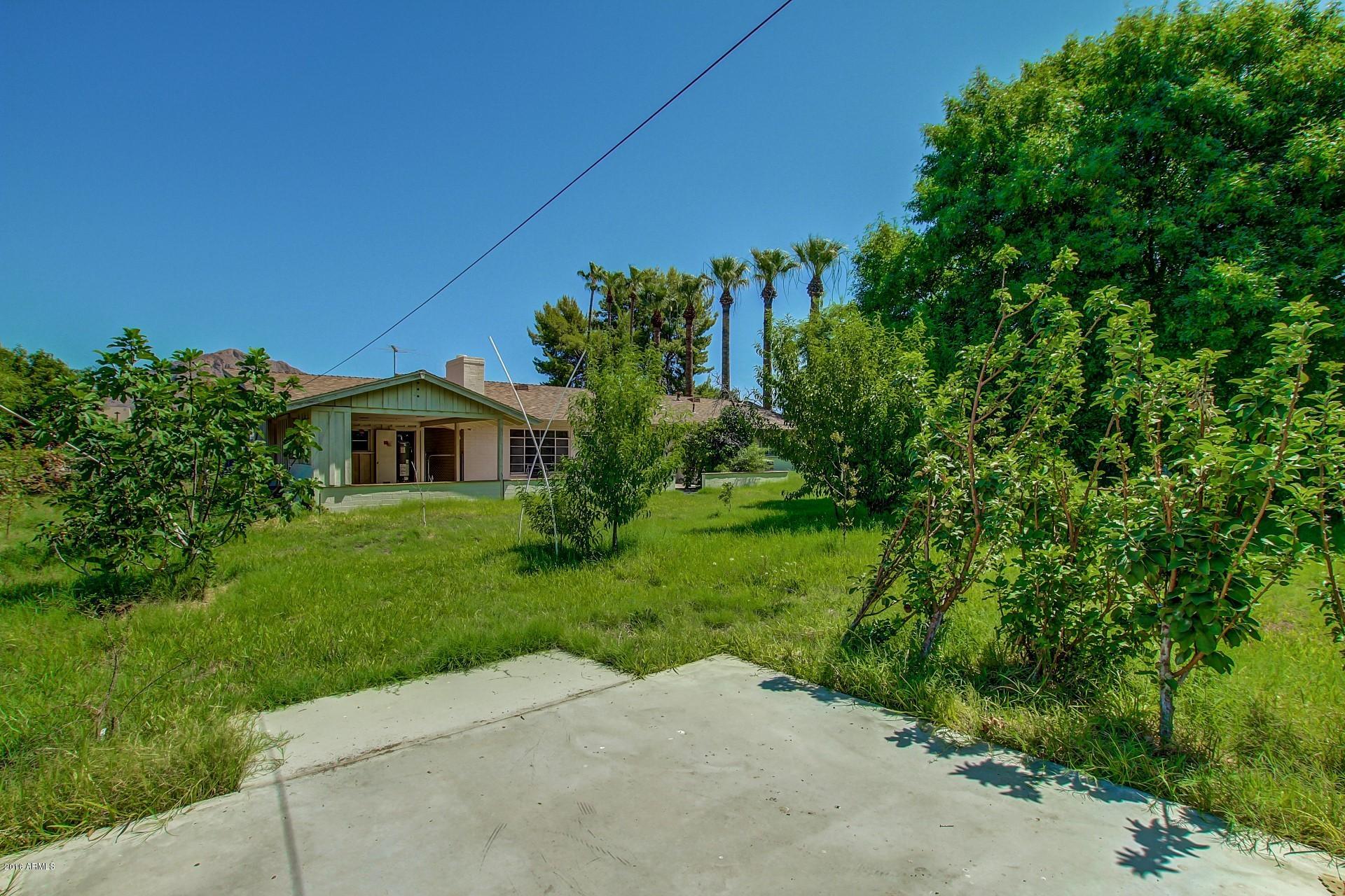 5415 East Osborn Road, Unit 31 Phoenix, AZ 85018 - Photo 14 of 16 13