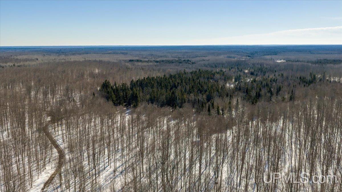 Tbd Off North Road Perkins, MI 49872 - Photo 11 of 48 Gallery Image 11
