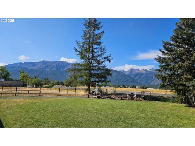 a black and white photo of a field