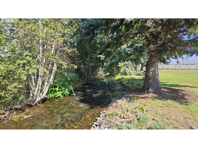 a black and white photo of a house