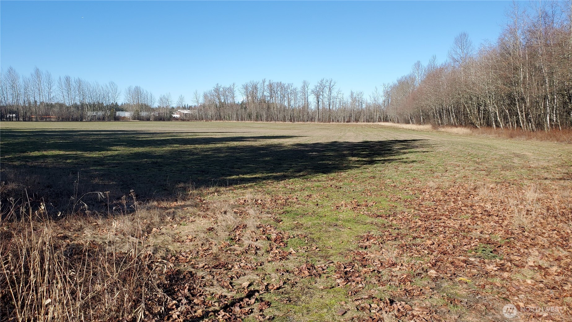 2070 Grandview Road Ferndale, WA 98248 - Photo 5 of 11 a big yard with lots of green space and trees