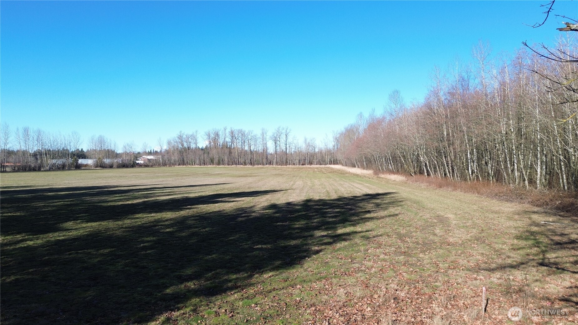2070 Grandview Road Ferndale, WA 98248 - Photo 6 of 11 a view of a yard