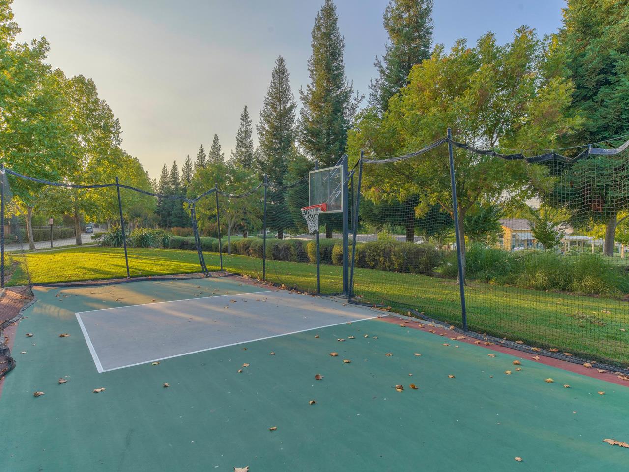 1975 Killarney Court Gilroy, CA 95020 - Photo 52 of 64 a view of a park with large trees