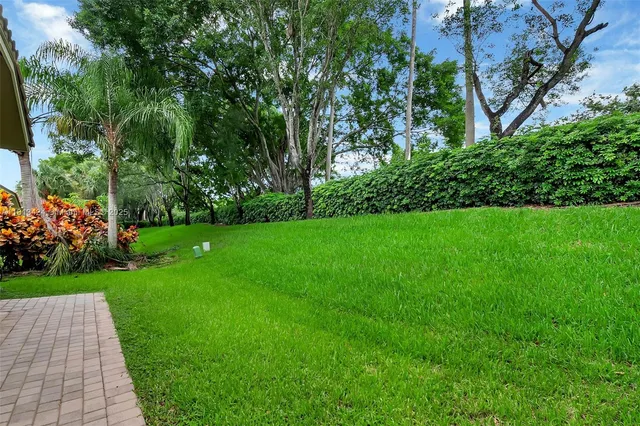 a view of a garden with plants and a large tree