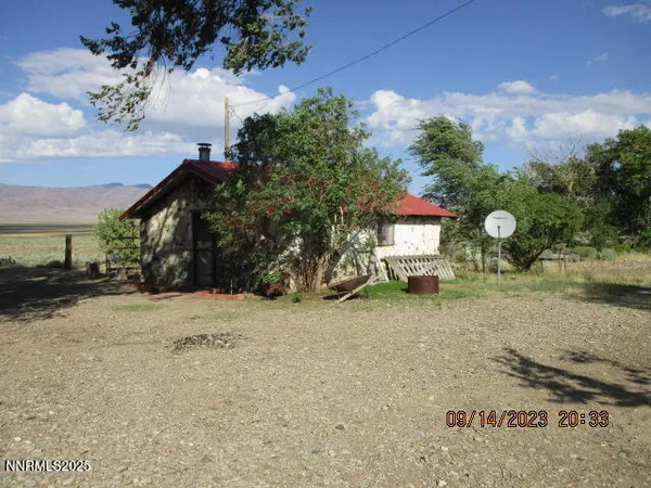 a view of a yard with a tree