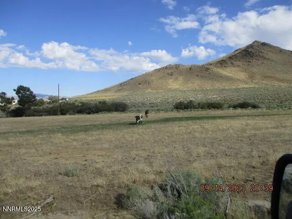 a view of a yard with mountain