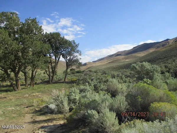 a view of a mountain range with lush green forest