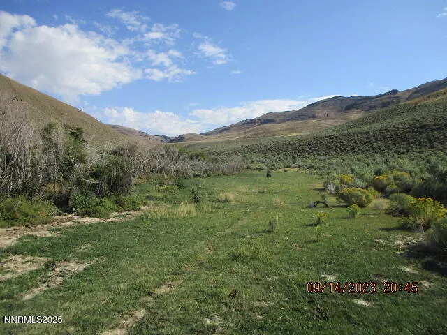 a view of a yard with a tree