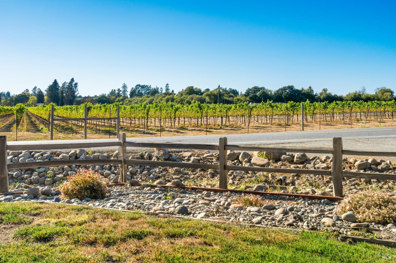 5111 Todd Road Sebastopol, CA 95472 - Photo 31 of 62 Vineyard view from the front
