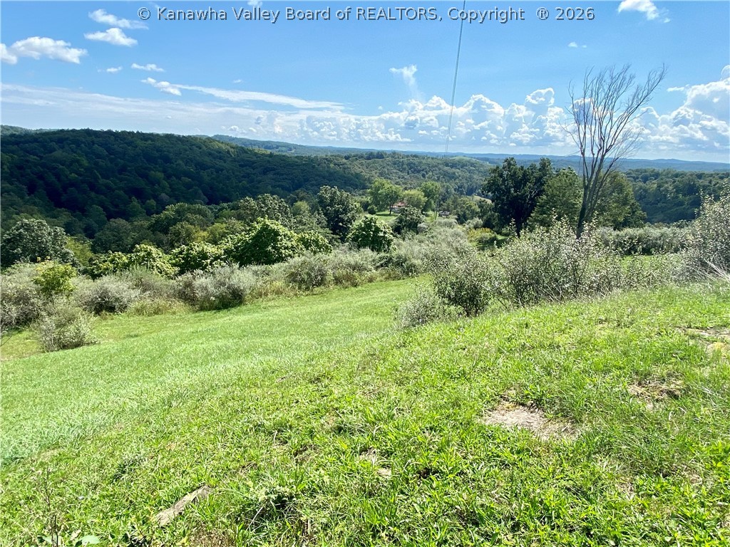65 Cavender Drive Ripley, WV 25271 - Photo 45 of 50 Gallery Image 45