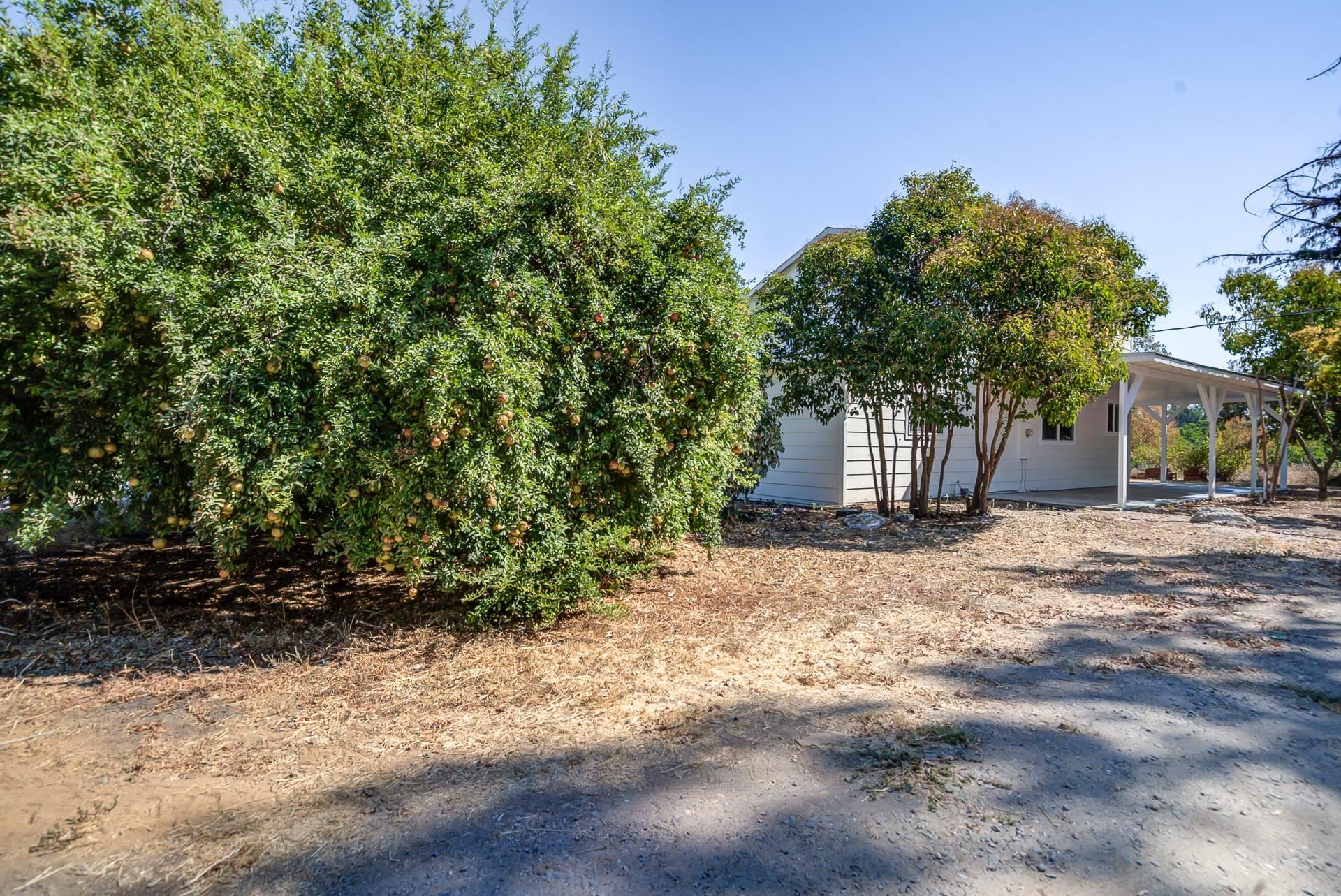 23622 Proberta Road Gerber, CA 96035 - Photo 67 of 72 Gallery Image 67