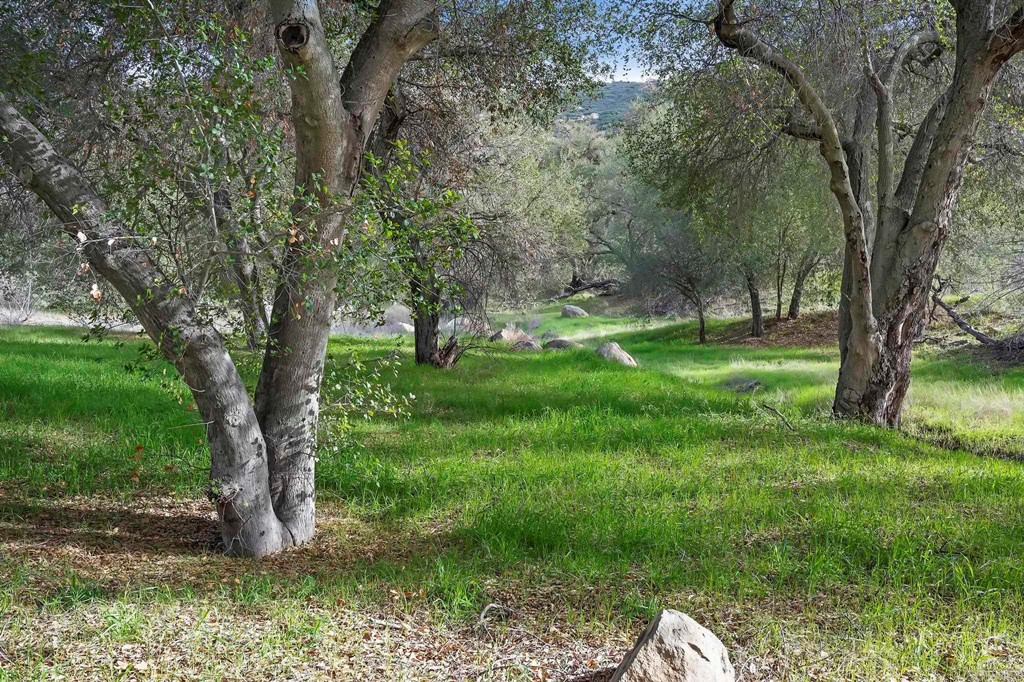 Old Coach Road Poway, CA 92064 - Photo 1 of 1 a backyard of a house with lots of green space
