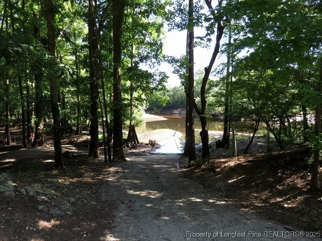 a view of a street with a tree