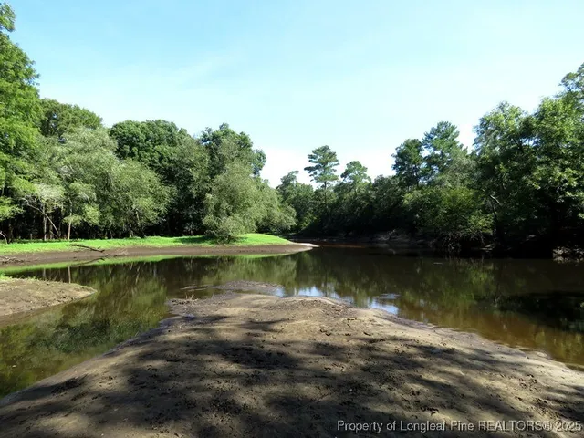a view of a lake in a forest
