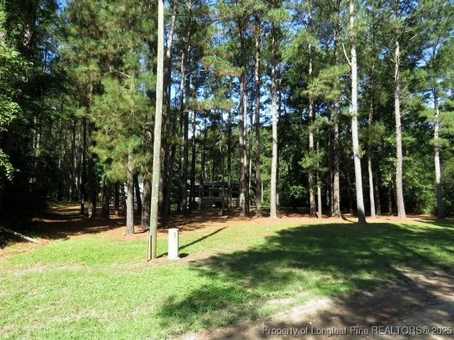 a view of a park with tree s