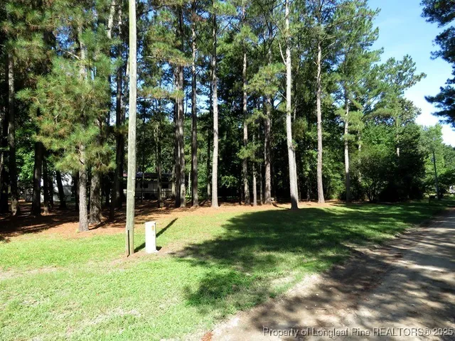a view of a house with a yard and tree s