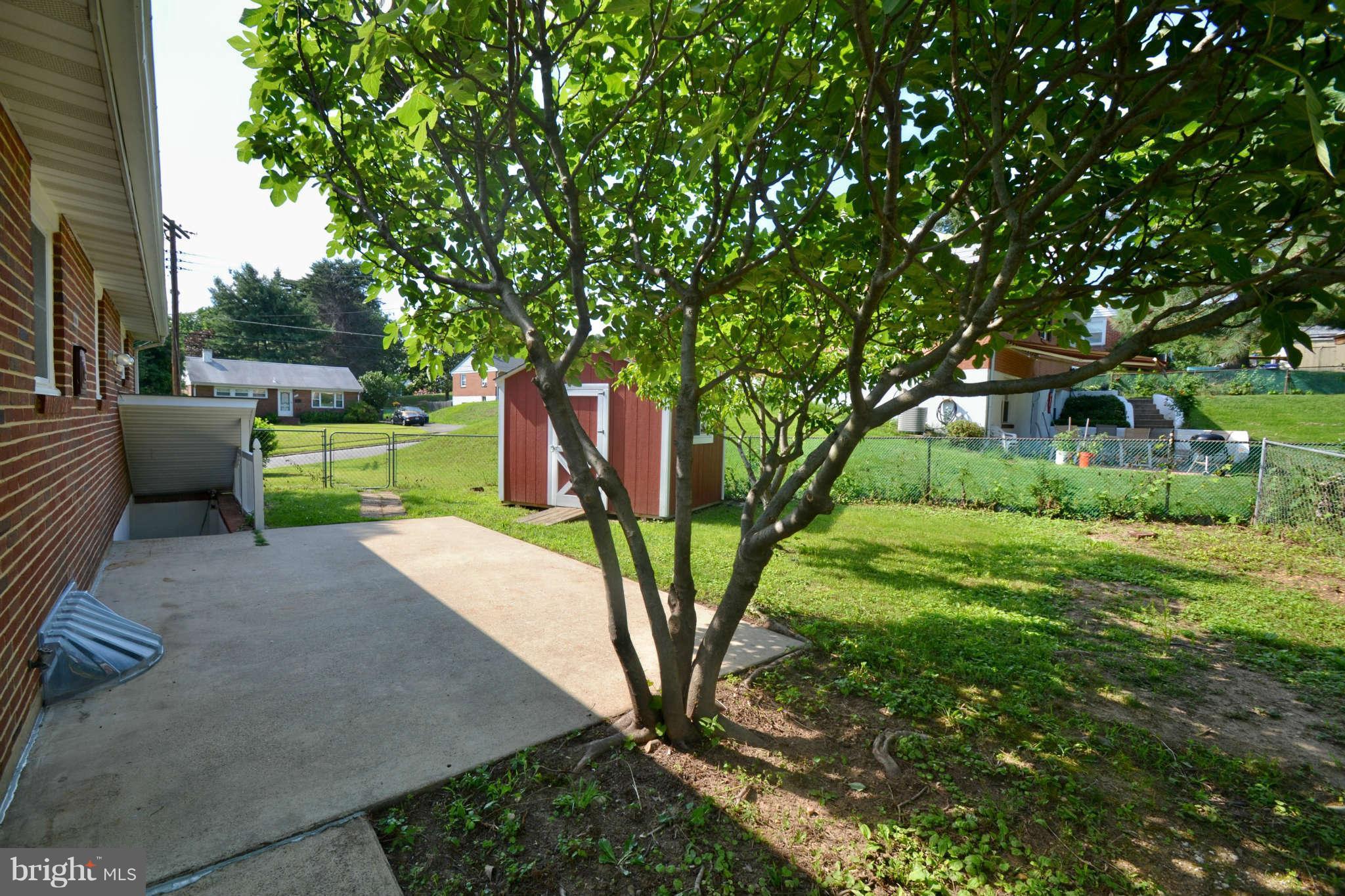 3906 Ronson Drive Alexandria, VA 22310 - Photo 23 of 23 Exterior Rear