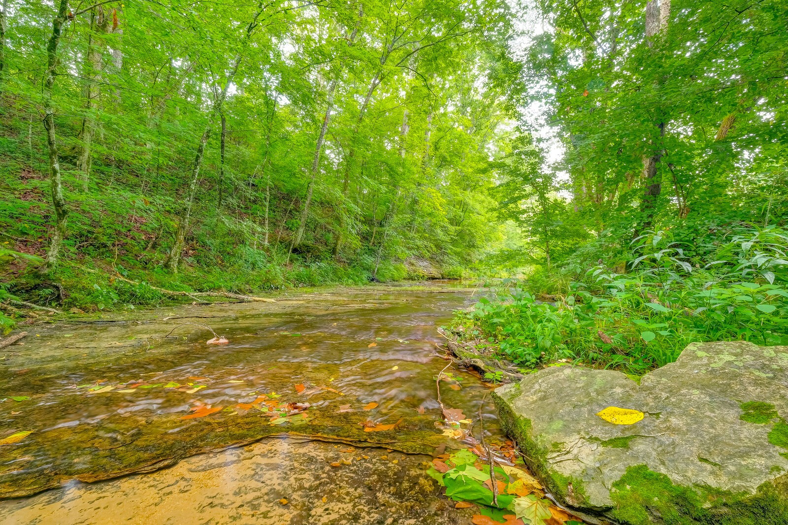 7126 Anderson Road Fairview, TN 37062 - Photo 47 of 50 Gallery Image 47