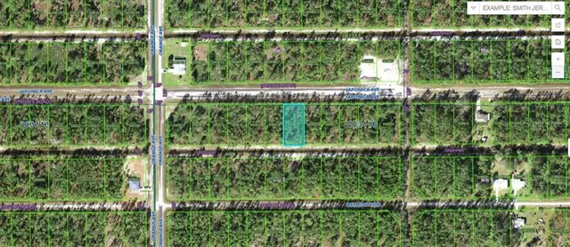 $59,900 | 711 Japonica Avenue, Indian Lake Estates, FL 33843