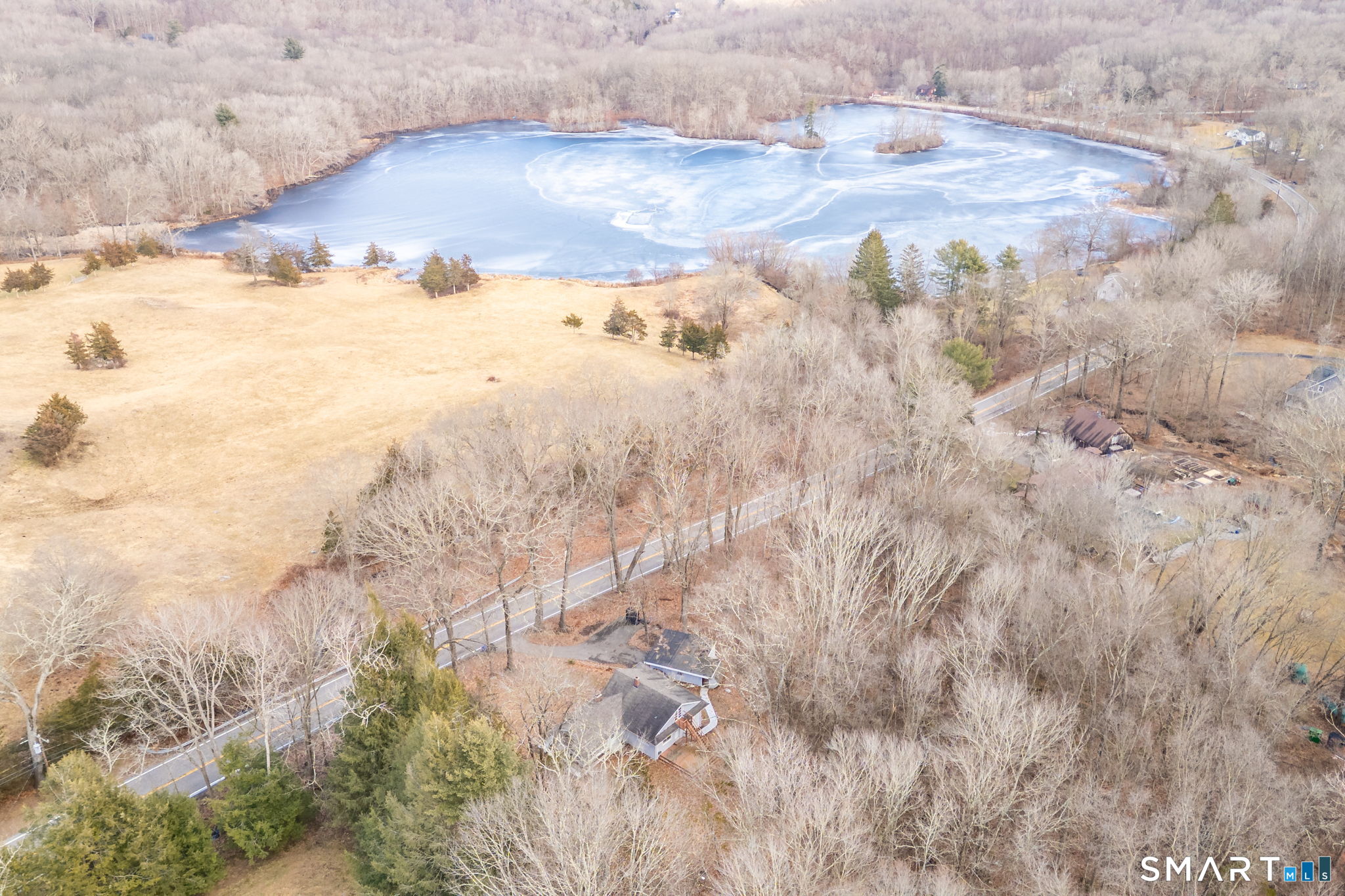 461 Pond Road Franklin, CT 06254 - Photo 34 of 35 a view of a dry yard with trees