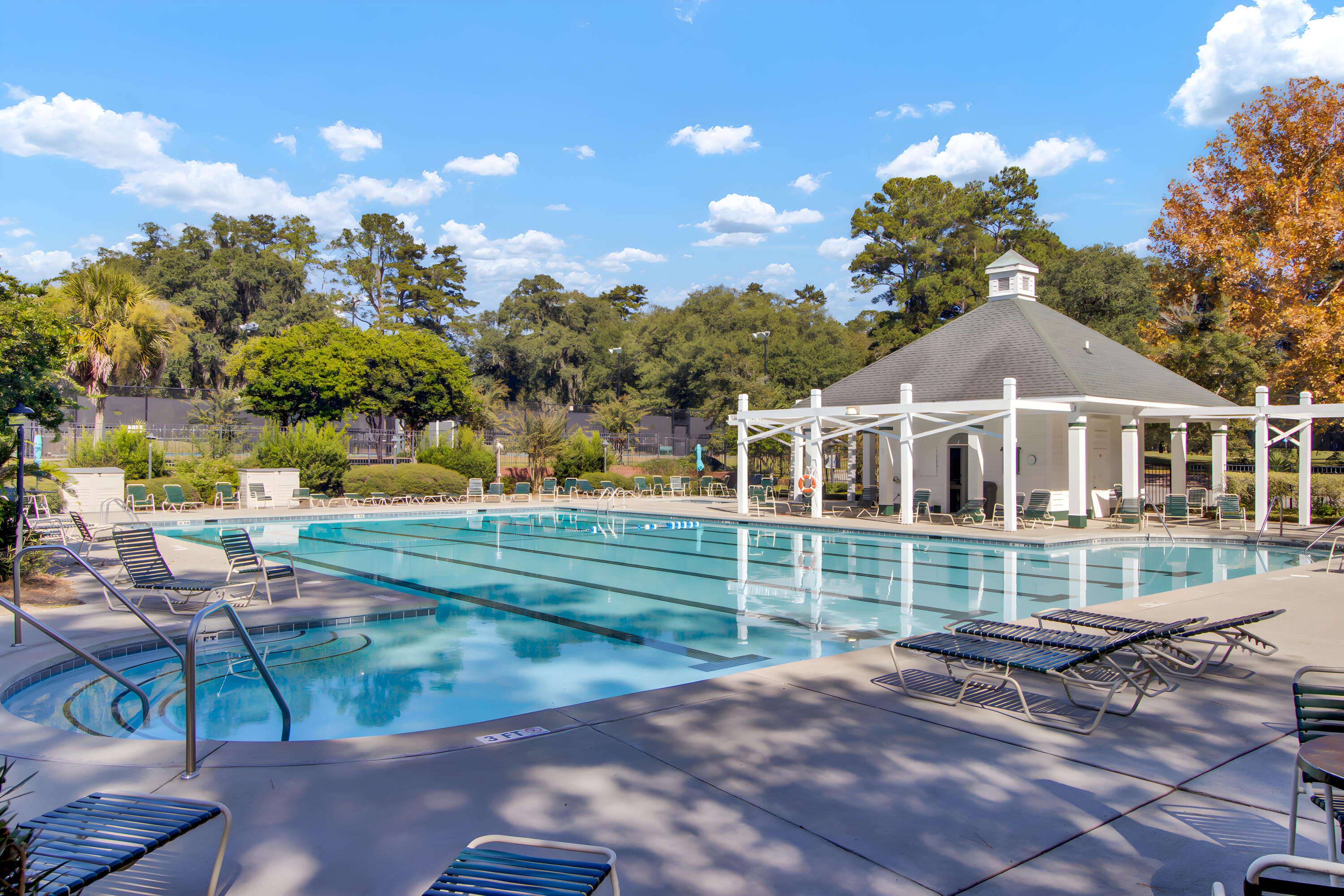 306 Clubview Road Summerville, SC 29485 - Photo 44 of 44 Community Pool