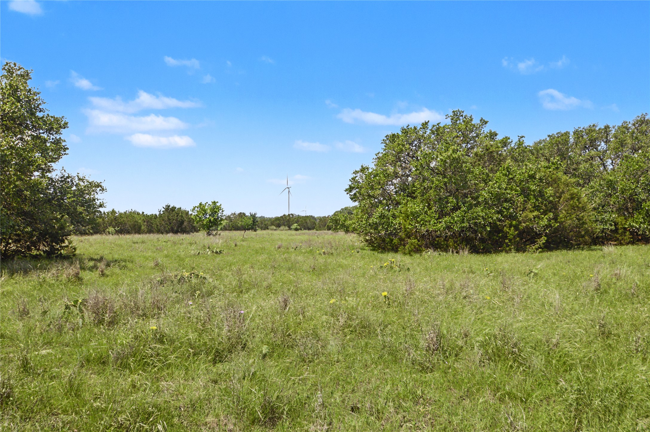 0 Cr 318 Road Goldthwaite, TX 76844 - Photo 27 of 37 a view of a field of grass and trees