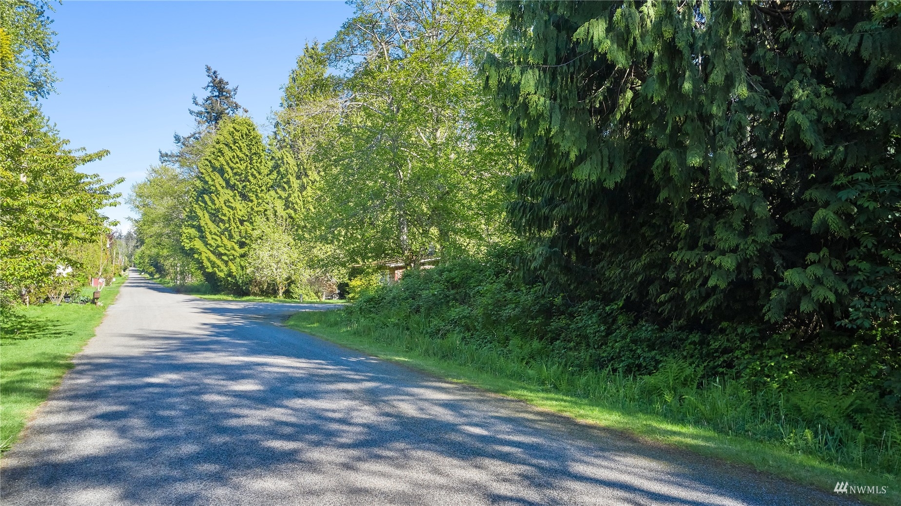 0 Rex Street Point Roberts, WA 98281 - Photo 1 of 10 a view of a yard with plants and large trees
