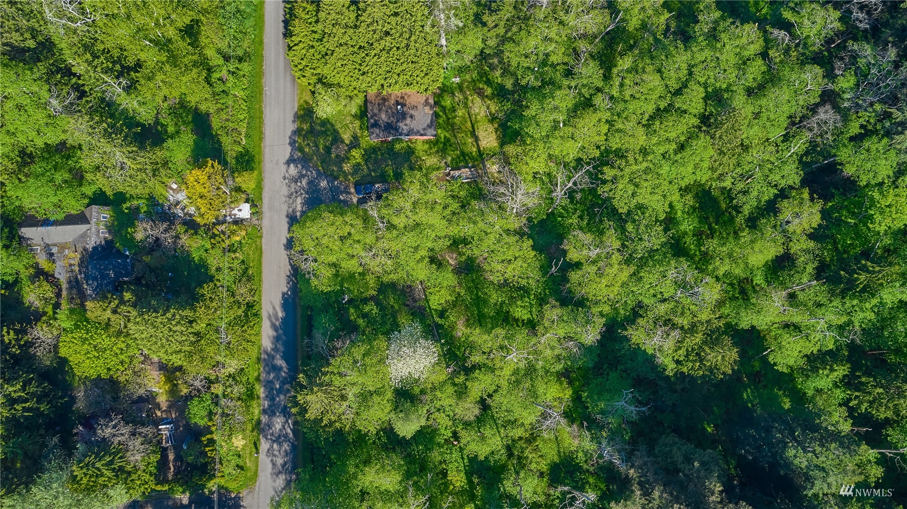 0 Rex Street Point Roberts, WA 98281 - Photo 4 of 10 a view of a lush green forest