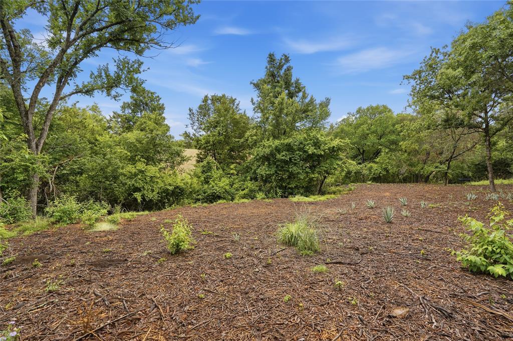 Tbd Northview Road Aledo, TX 76008 - Photo 20 of 35 a view of a yard with a tree