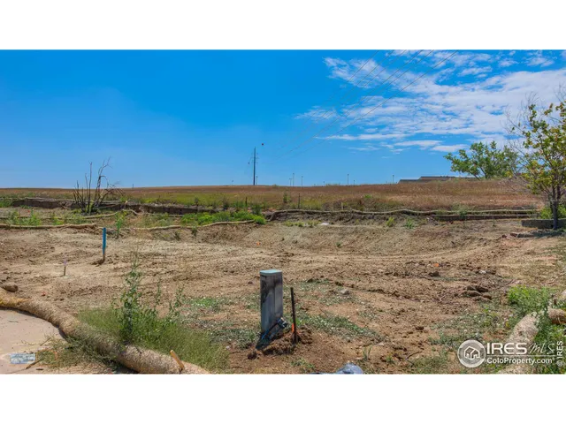 a black and white photo of a lake