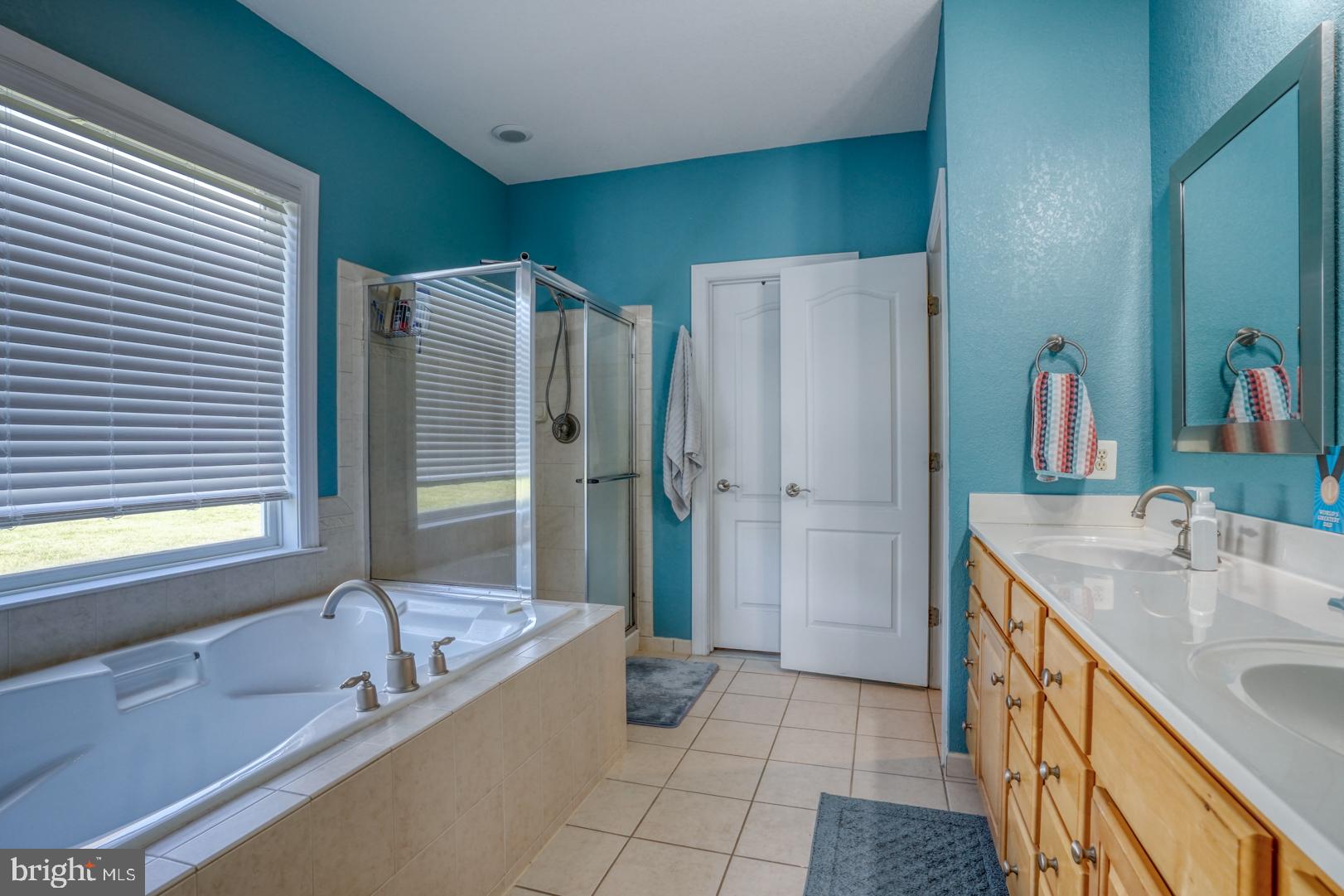 34026 Joyce Court Lewes, DE 19958 - Photo 26 of 48 a bathroom with a tub sink and mirror