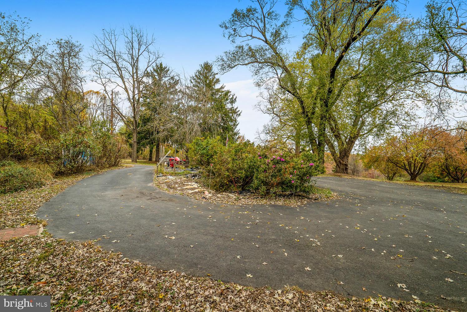 17000 Carwell Road Silver Spring, MD 20905 - Photo 14 of 15 Circular Driveway