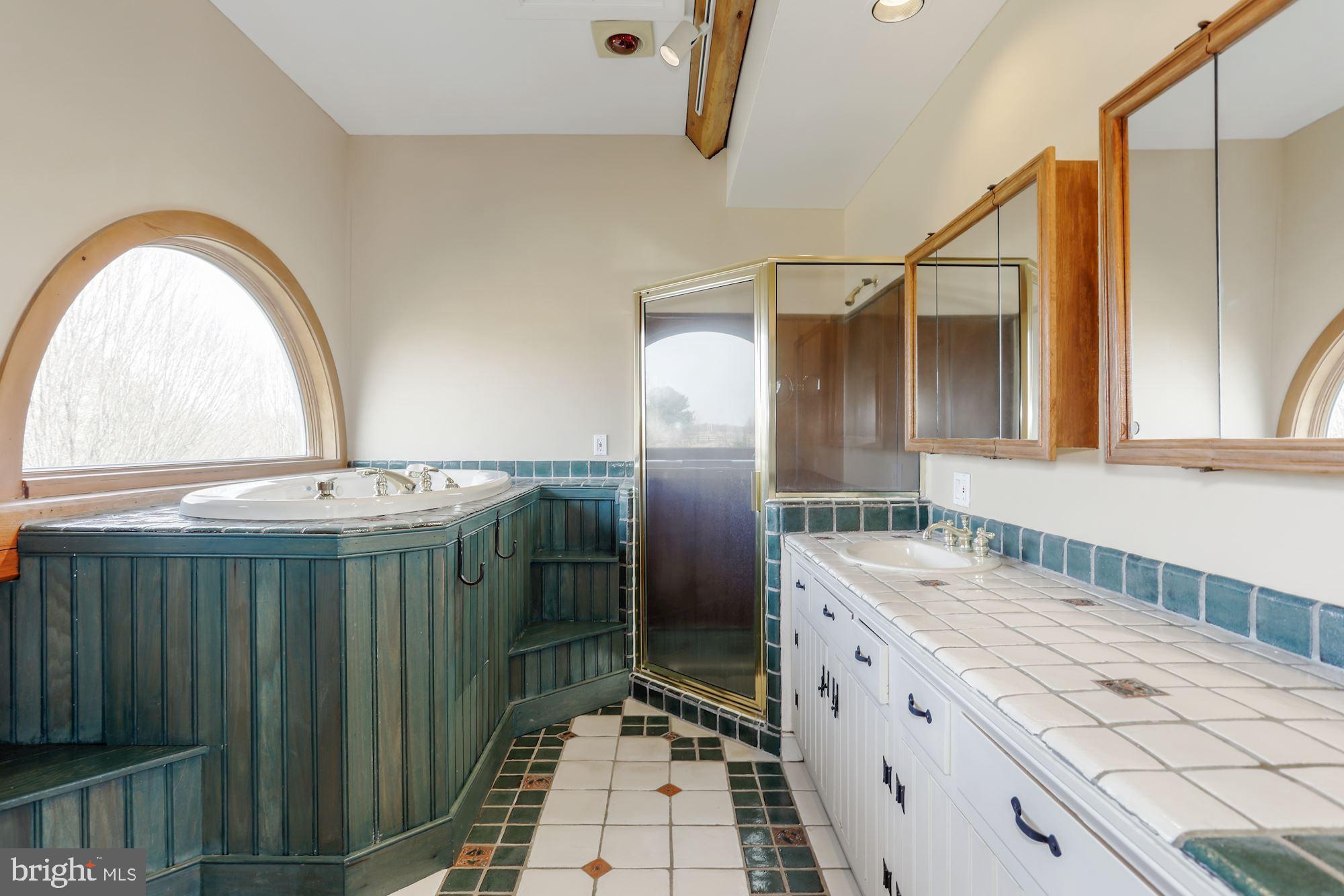 36913 Paxson Road Purcellville, VA 20132 - Photo 26 of 47 Master bathroom