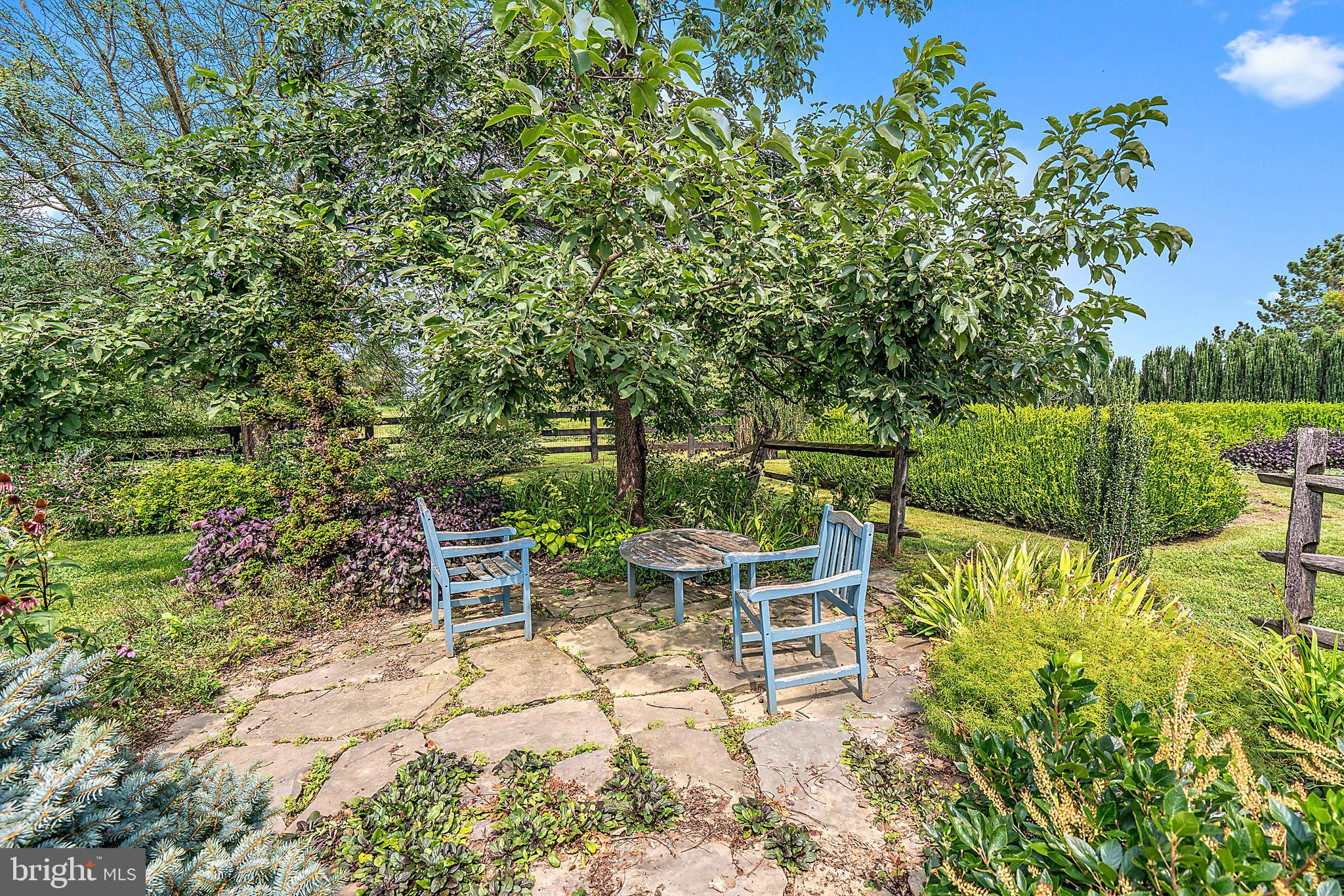 36913 Paxson Road Purcellville, VA 20132 - Photo 46 of 47 Outdoor space