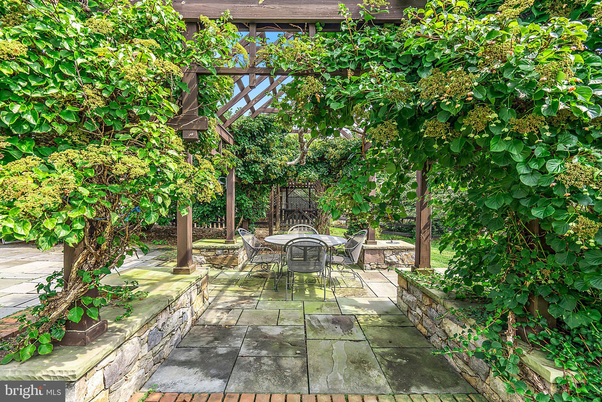 36913 Paxson Road Purcellville, VA 20132 - Photo 7 of 47 Outdoor space