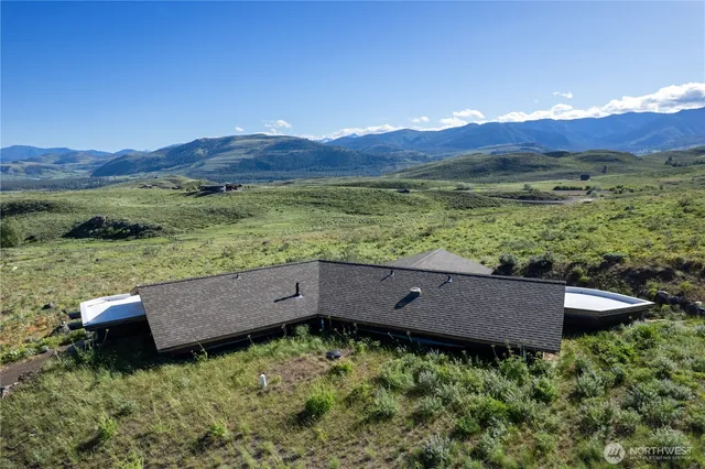 a view of a lush green field with a mountain in the background