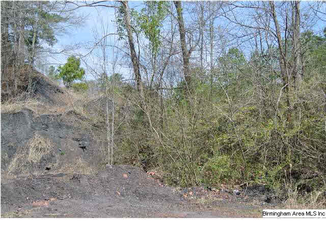 3522 County Road 22 Montevallo, AL 35115 - Photo 2 of 4