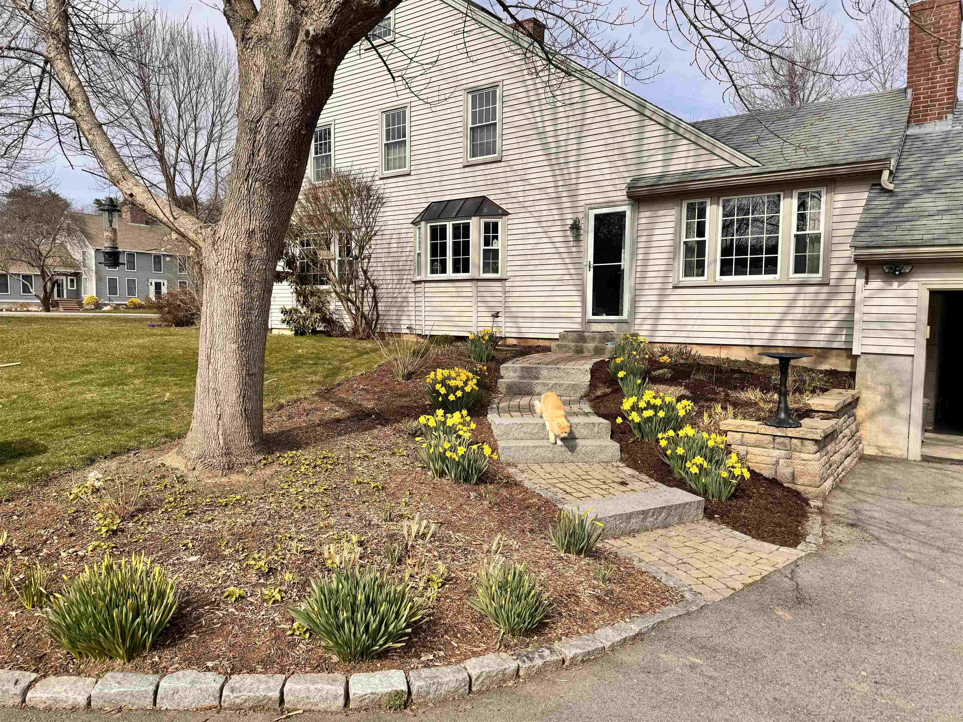 6 Meloon Road Greenland, NH 03840 - Photo 40 of 43