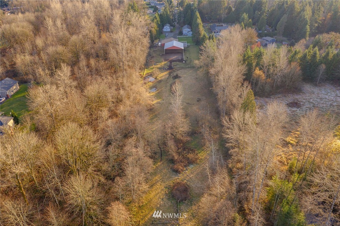 18100 Southeast 132nd Street Renton, WA 98059 - Photo 4 of 33 a view of a tree in a yard
