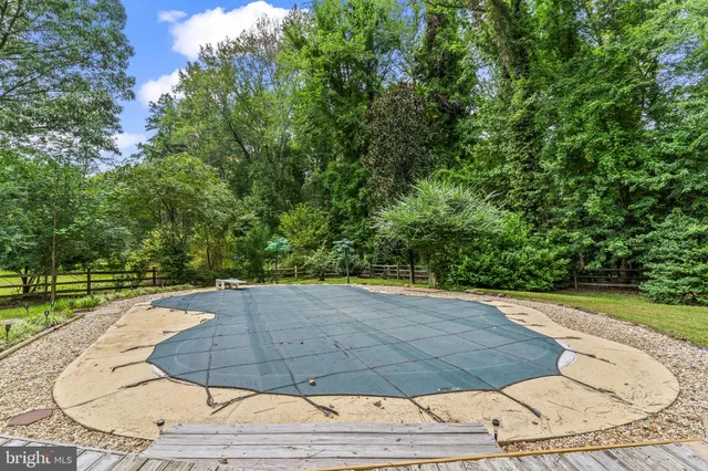 a sign that is sitting in front of a tree