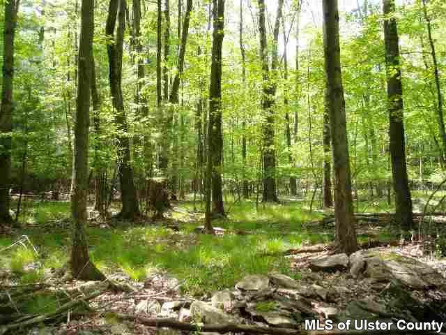 Tbd Ricci Road, Unit JUST OFF BONE HOLLOW Accord, NY 12404 - Photo 1 of 3 Photo 1