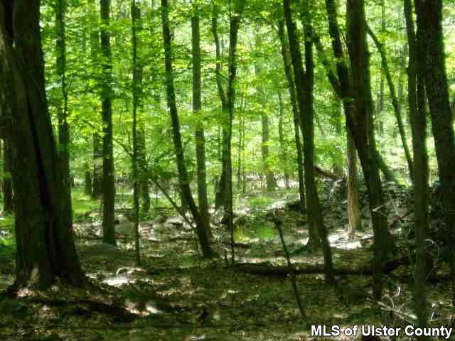 Tbd Ricci Road, Unit JUST OFF BONE HOLLOW Accord, NY 12404 - Photo 3 of 3 Photo 3