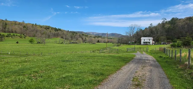 a view of a grassy field with trees