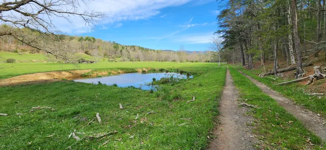 a view of a lake with a big yard