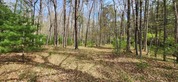 a view of backyard with green space