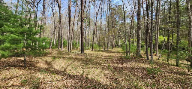 a view of backyard with green space